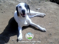 03-penti-sezar-sanctuary