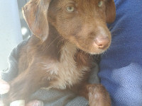 3-peppi-sezar-sanctuary