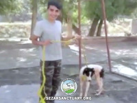 01-gilanvand-puya-sezar-sanctuary