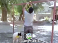 02-gilanvand-puya-sezar-sanctuary