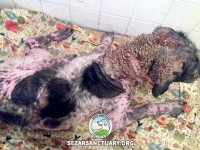 01-salar-sezar-sanctuary