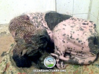 02-salar-sezar-sanctuary