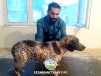 03-salar-sezar-sanctuary