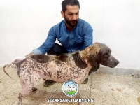 04-salar-sezar-sanctuary