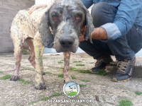 06-salar-sezar-sanctuary