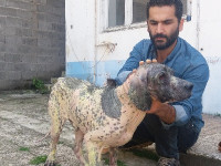 08-salar-sezar-sanctuary