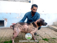 10-salar-sezar-sanctuary