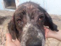 11-salar-sezar-sanctuary