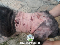 12-salar-sezar-sanctuary