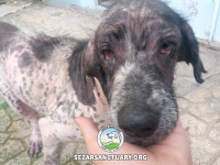 13-salar-sezar-sanctuary