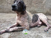 14-salar-sezar-sanctuary