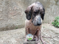 17-salar-sezar-sanctuary