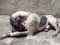 18-salar-sezar-sanctuary