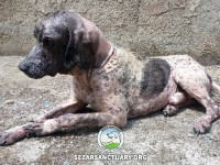 19-salar-sezar-sanctuary