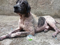 20-salar-sezar-sanctuary