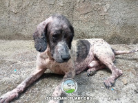 21-salar-sezar-sanctuary