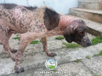 22-salar-sezar-sanctuary