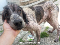 23-salar-sezar-sanctuary