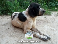 39-salar-sezar-sanctuary