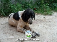 40-salar-sezar-sanctuary