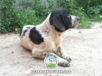 41-salar-sezar-sanctuary