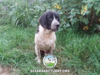 42-salar-sezar-sanctuary