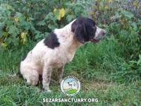 44-salar-sezar-sanctuary