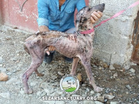 20-saman-sezar-sanctuary