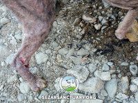 23-saman-sezar-sanctuary