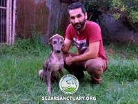 42-saman-sezar-sanctuary