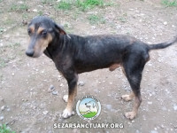 47-saman-sezar-sanctuary