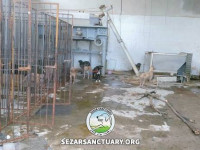 02-marge-gilan-sezar-sanctuary