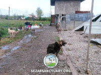 05-marge-gilan-sezar-sanctuary