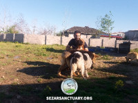 103-marge-gilan-sezar-sanctuary