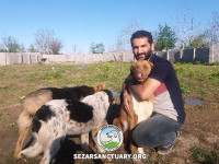 106-marge-gilan-sezar-sanctuary