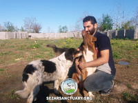 108-marge-gilan-sezar-sanctuary