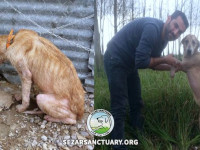 131-marge-gilan-sezar-sanctuary