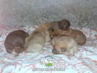 88-marge-gilan-sezar-sanctuary