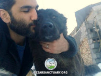 01-sormeh-sezar-sanctuary