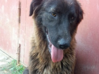 03-sormeh-sezar-sanctuary