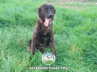 05-sormeh-sezar-sanctuary