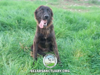 06-sormeh-sezar-sanctuary