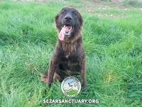 07-sormeh-sezar-sanctuary