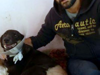 3-suzan-sezar-sanctuary