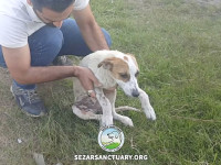 02-tiktiki-sezar-sanctuary