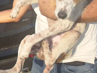 03-tiktiki-sezar-sanctuary