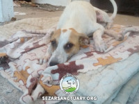 17-tiktiki-sezar-sanctuary