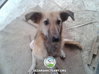 03-ziba-sezar-sanctuary