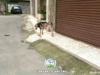 02-homa-sezar-sanctuary