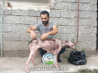 09-homa-sezar-sanctuary